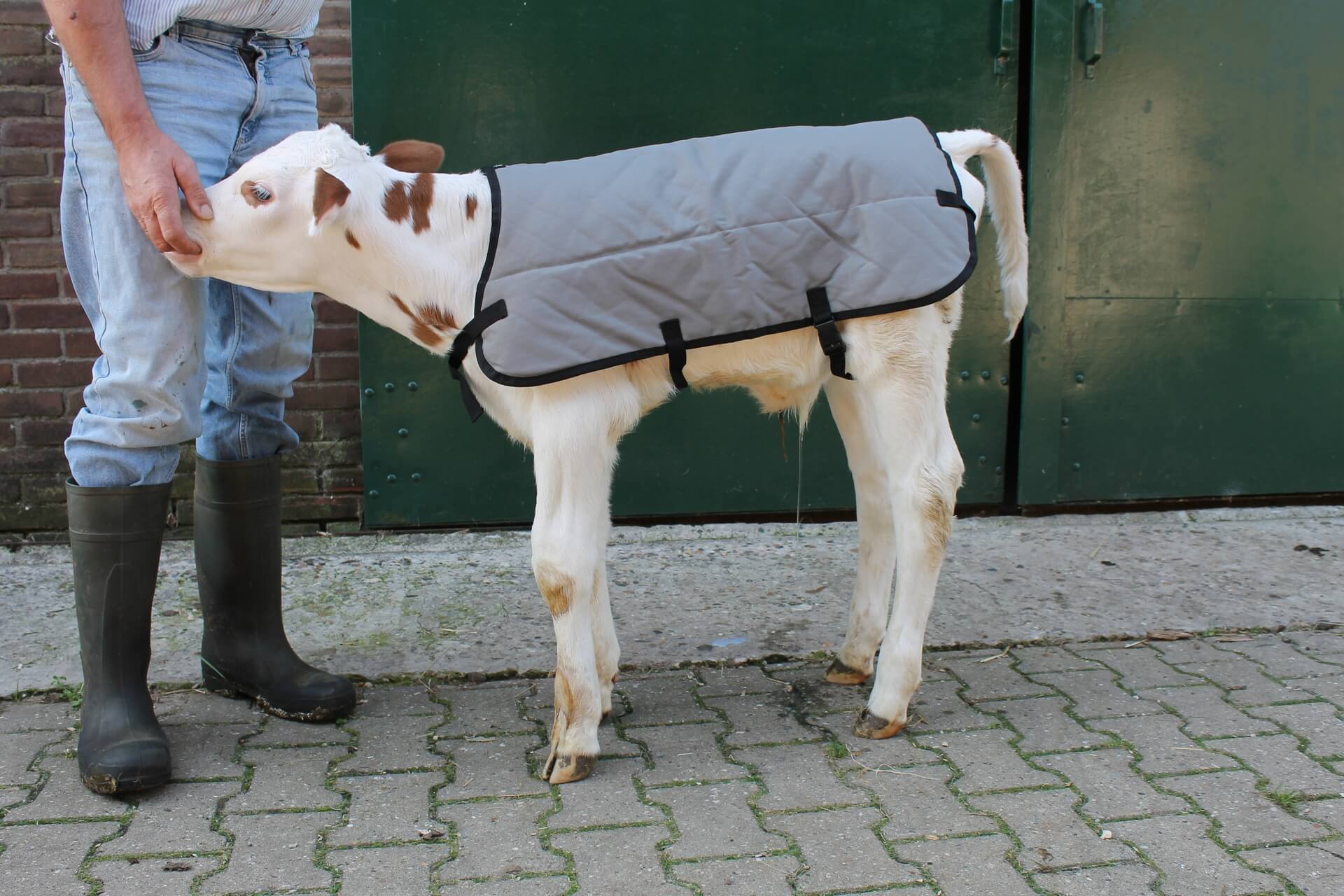 Couverture Isolante Pour Veau - Vêtement D'hiver Résistant Au Froid - Pour Pâturage, étable, Transport - Taille Unique Ajustable