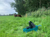 100.0547_Weidepumpe_Mod._547_Standard_-_Ansicht_Weide_1