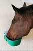 100.1350_Traenkebecken_Mod._135P_-_Ansicht_mit_Pferd