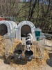 130.1602_Kaelberiglu_MAXI_-_mit_Umrandung_131.1634_in_Aktion_2