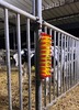 130.5019_Scheuerbuerste_50_x_15_cm_-_installiert