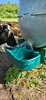 160.0552_Doppel-Anbautraenke_fuer_Weidefaesser_FT55_-_Ansicht_am_Fass_1