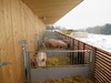 100.3758_Mod._375-H-VA¾_-_Schweinestall_Winter_draussen