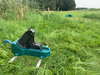 100.0547_Weidepumpe_Mod._547_Standard_-_Ansicht_Weide_2